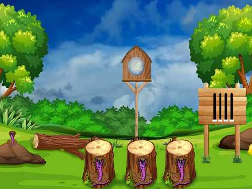 Záchrana papoušků